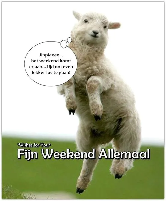 ᐅ allemaal plaatjes - Dinsdag plaatjes ᐅ allemaal plaatjes - Dinsdag plaatjes