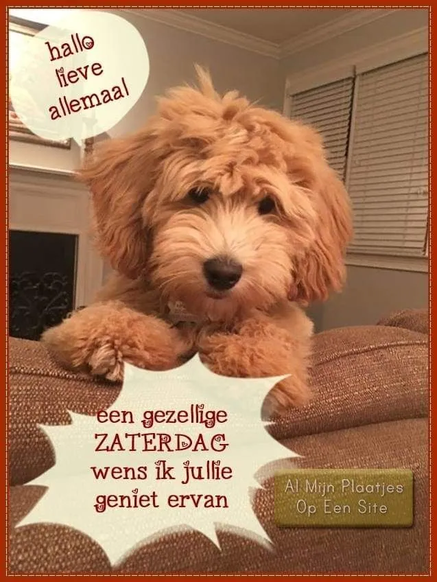 ᐅ allemaal plaatjes - Dinsdag plaatjes ᐅ allemaal plaatjes - Dinsdag plaatjes