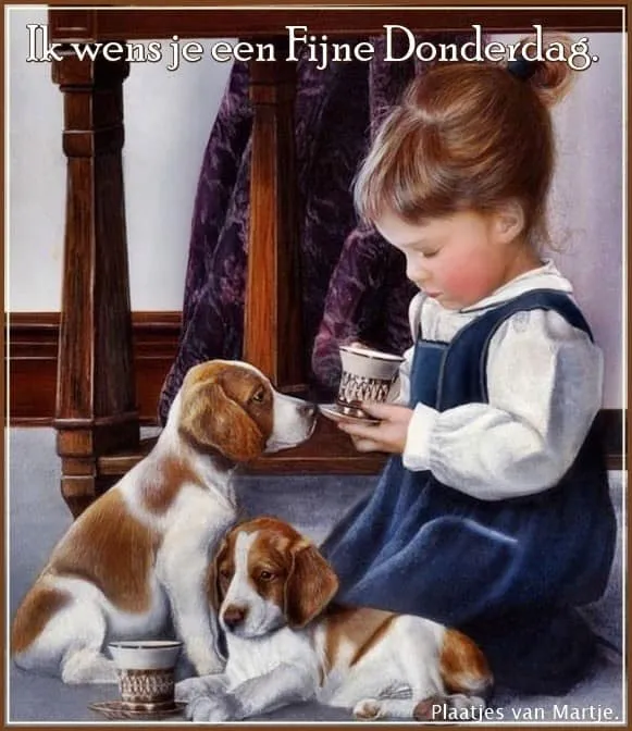 ᐅ allemaal plaatjes - Dinsdag plaatjes ᐅ allemaal plaatjes - Dinsdag plaatjes