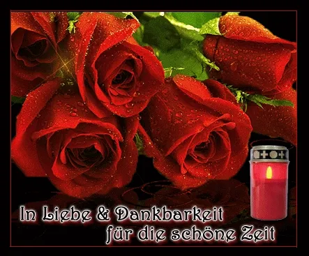 ᐅ allerheiligen gif - Allerheiligen plaatjes Rode rozen met waterdruppels en een brandende kaars op een donkere achtergrond.