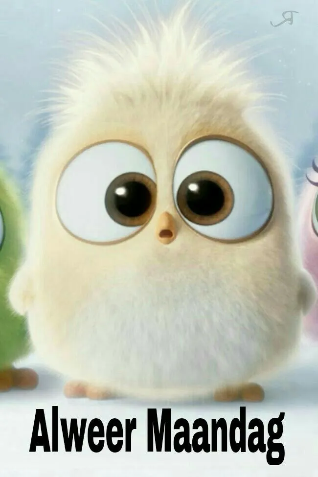 ᐅ alweer maandag - Maandag plaatjes