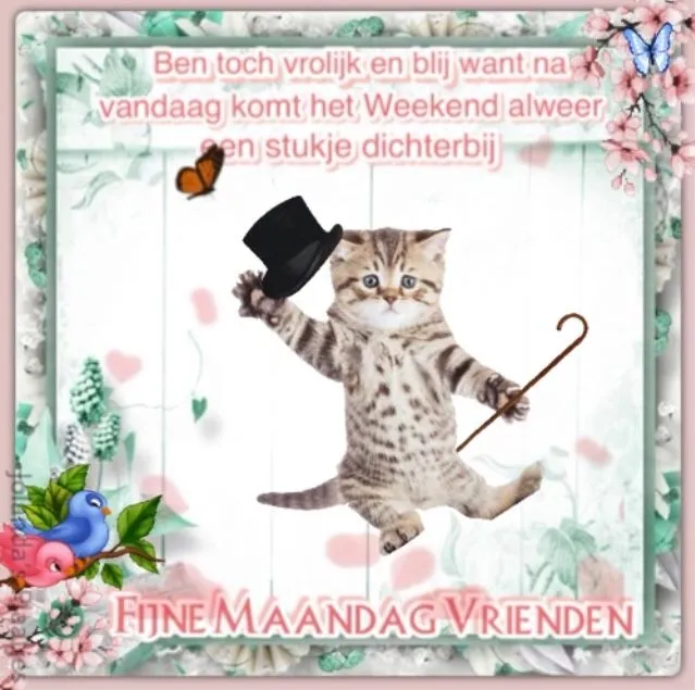 ᐅ alweer maandag - Maandag plaatjes