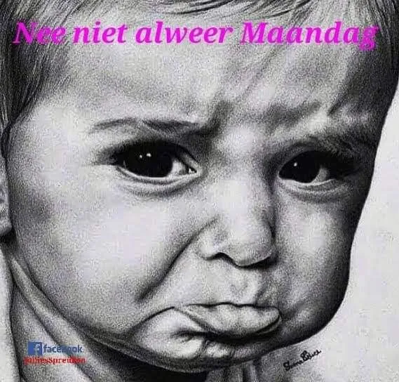 ᐅ alweer maandag - Maandag plaatjes