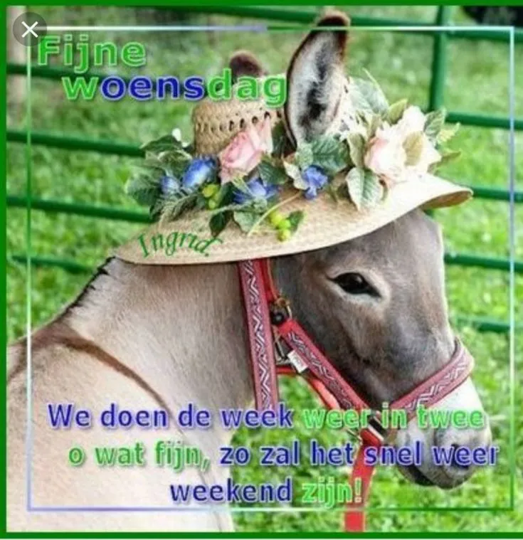 ᐅ alweer maandag - Maandag plaatjes