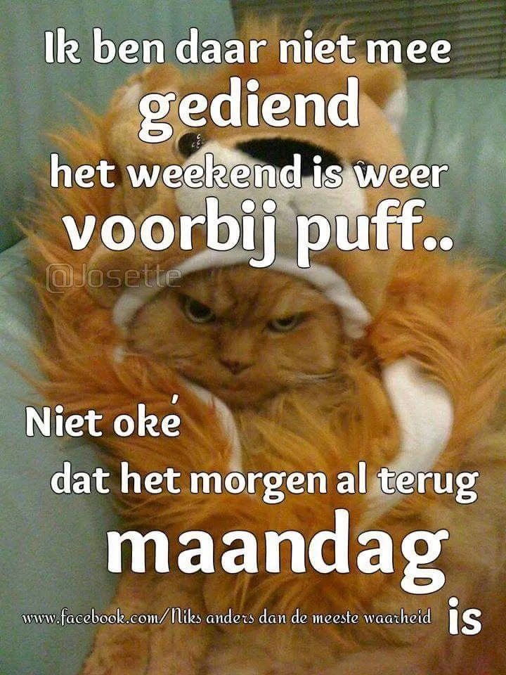 ᐅ alweer maandag - Maandag plaatjes