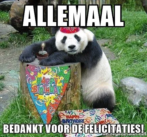 Panda in feesthoed bij een verjaardagstaart met cadeaus om zich heen.