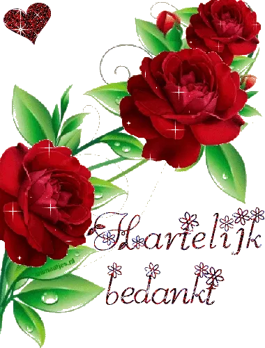 Drie rode rozen met de tekst 'Hartelijk bedankt' eronder.