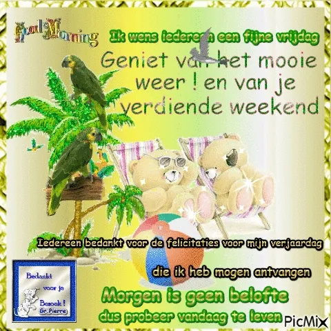 Twee papegaaien en beren bij een palmboom, met een boodschap voor het weekend.