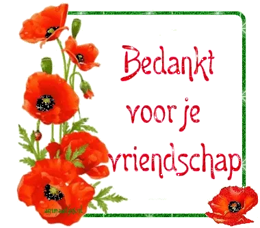 Rode klaprozen met de tekst "Bedankt voor je vriendschap" op een lichte achtergrond.