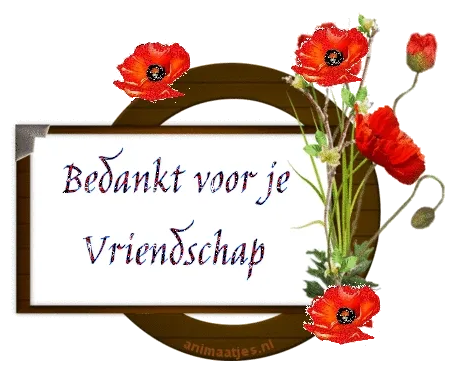 Tekst op een decoratieve achtergrond met rode bloemen: "Bedankt voor je Vriendschap".