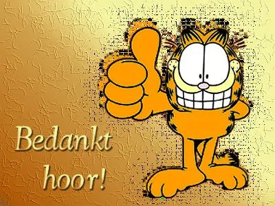 Een cartoon van Garfield die een duim omhoog steekt en "Bedankt hoor!" zegt.