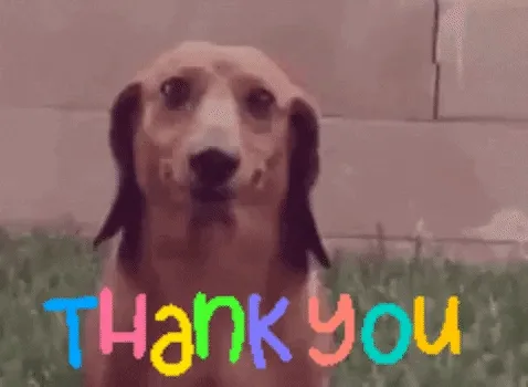 Een hond met een blije uitdrukking en de tekst "THANK YOU" in kleurrijke letters.