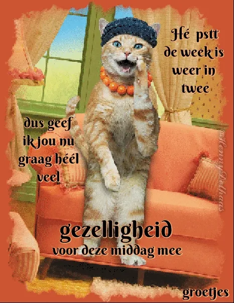 Een kat met een hoed en ketting, die een boodschap van gezelligheid deelt.