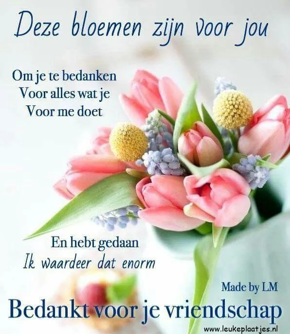 Boeket met rozen en bloemen, met de tekst: 'Bedankt voor je vriendschap.'
