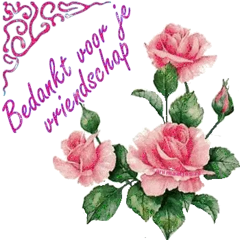 Rozen met de tekst "Bedankt voor je vriendschap".
