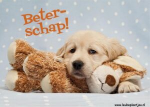beterschap afbeelding
