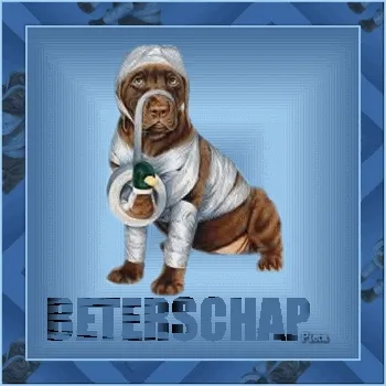 Een hondenfiguur in verbanden met een hondenriem. Achtergrond in blauw.