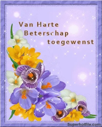 Kleurige bloemen omringd door de tekst "Van Harte Beterschap toegewenst".