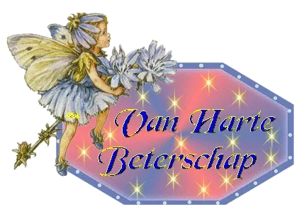 Elfenfiguur met bloemen en tekst "Van Harte Beterschap" op een sterrendecor.