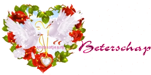 Een hart van rozen met twee witte duiven en de tekst 'Beterschap'.