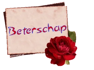 Rode roos met het woord 'Beterschap' op een papieren achtergrond.