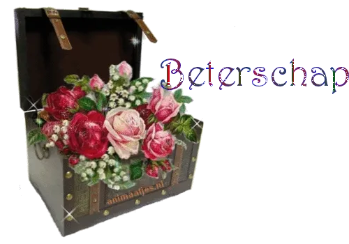 Een sierlijke kist met een boeket rozen en tekst "Beleefschap".