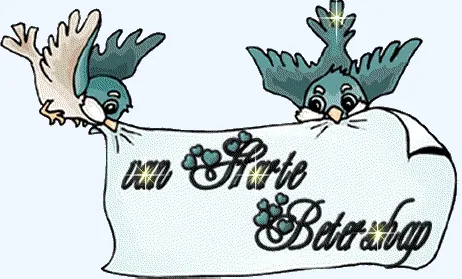 Twee vogels houden een banner met de tekst "aan harte beterschap".