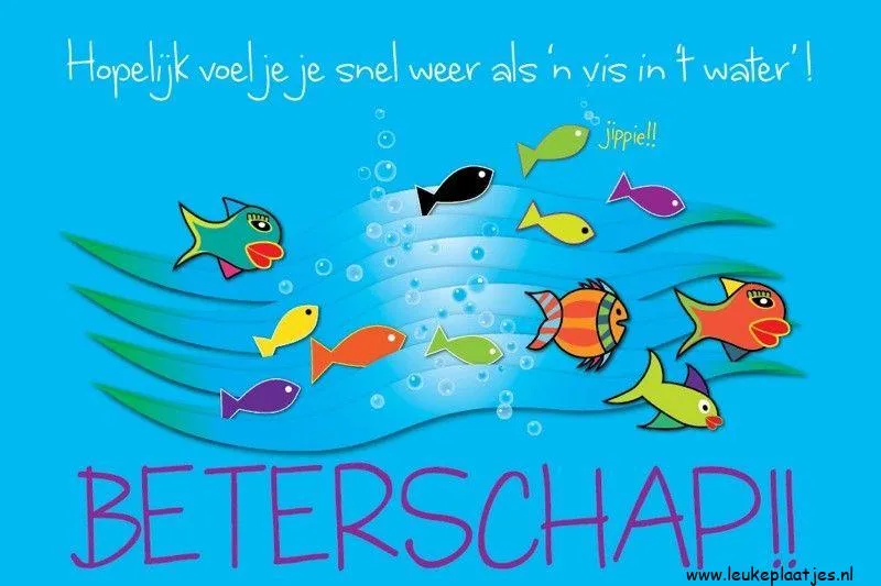 Kleurige vissen zwemmen in water met de tekst "Beterschap!" erboven.