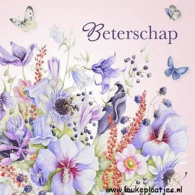 ᐅ beterschap vrouw - Beterschap plaatjes beterschap vrouw - Aquarel illustratie van paarse bloemen met de tekst "Beterschap" erboven.