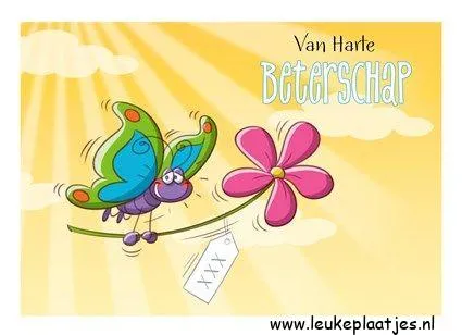 ᐅ beterschap vrouw - Beterschap plaatjes Kleurrijke vlinder met bloem, boodschap voor beterschap.