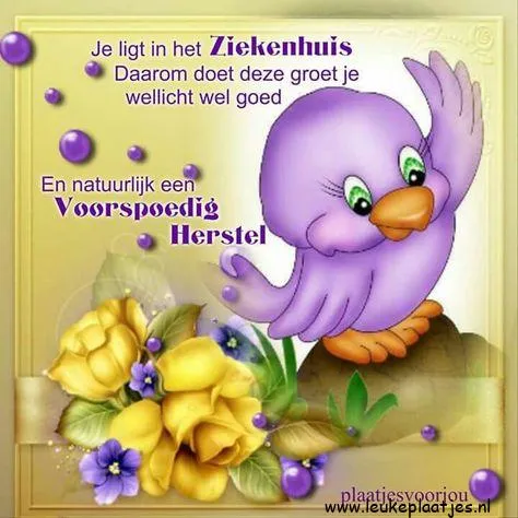 ᐅ beterschap vrouw - Beterschap plaatjes Een schattige paarse vogel met bloemen, wensen een voorspoedig herstel in het ziekenhuis.