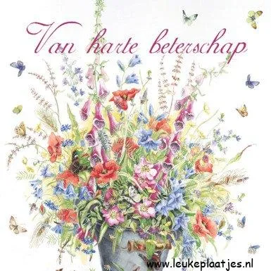 ᐅ beterschap vrouw - Beterschap plaatjes Een kleurrijk boeket bloemen met vlinders op een lichte achtergrond.