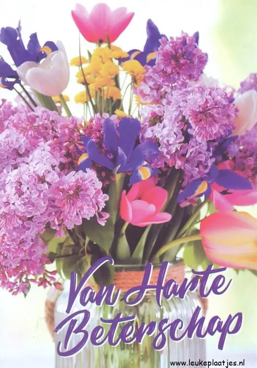 ᐅ beterschap vrouw - Beterschap plaatjes Aantal kleurrijke bloemen in een vaas met de tekst "Van Harte Beterschap".
