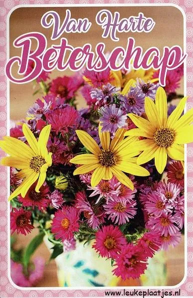 ᐅ beterschap vrouw - Beterschap plaatjes Bloemenboeket met gele en paarse bloemen, tekst "Van Harte Beterschap" erboven.