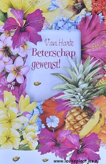 ᐅ beterschap vrouw - Beterschap plaatjes Kaart met kleurrijke bloemen en een ananas, tekst: "Van Harte Beterschap gewenst!"