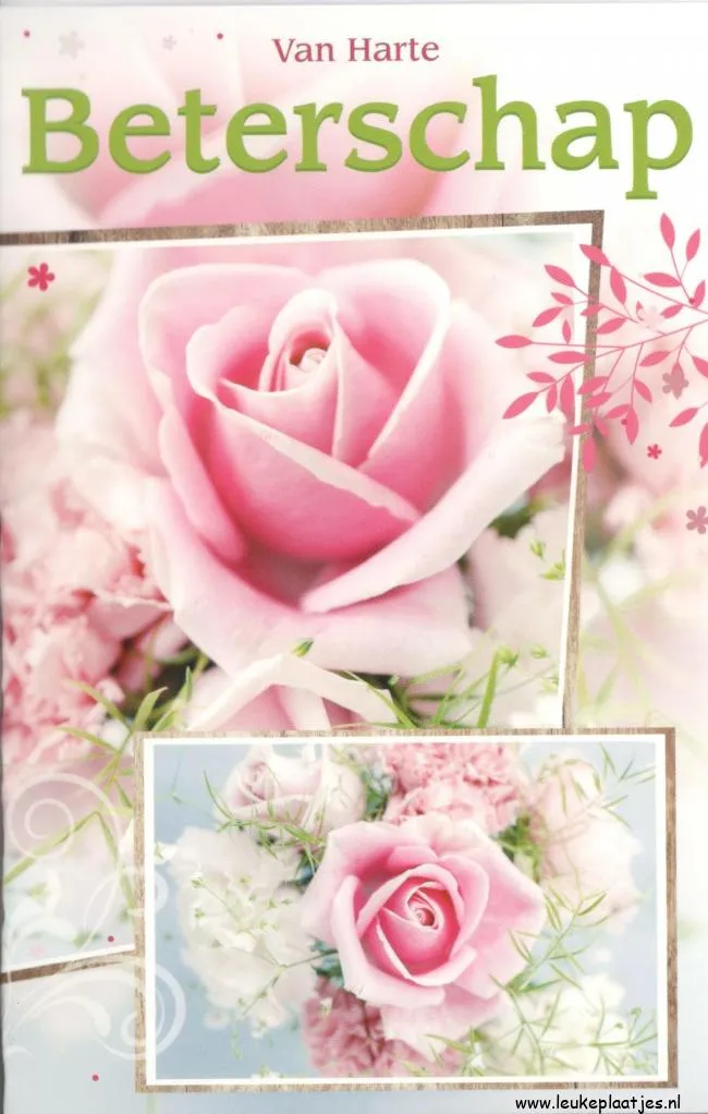 ᐅ beterschap vrouw - Beterschap plaatjes Rozen in zachte kleuren op een kaart met de tekst "Beterschap".