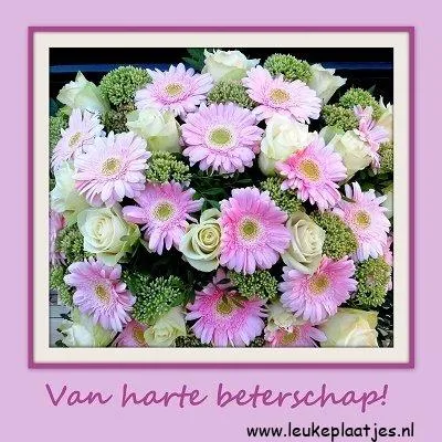 ᐅ beterschap vrouw - Beterschap plaatjes Een boeket met roze gerbera's en witte rozen op een paarse achtergrond.