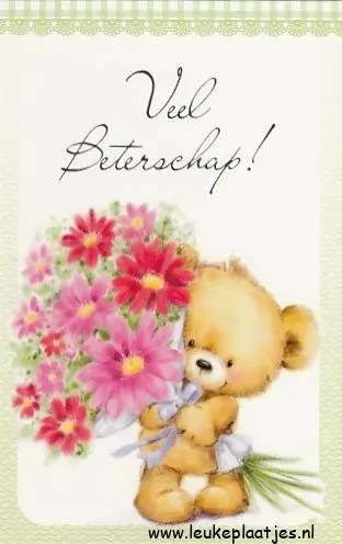 ᐅ beterschap vrouw - Beterschap plaatjes Berenknuffel met bloemen en de tekst "Veel Beterschap!".