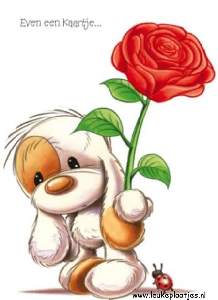 ᐅ beterschap vrouw - Beterschap plaatjes Een schattige hond met een roos in zijn poot, met een lieve uitstraling.