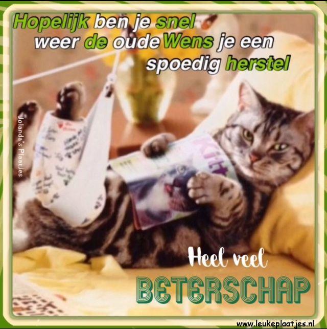 ᐅ beterschap whatsapp - beterschap whatsapp plaatjes