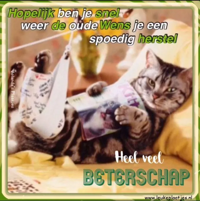 Een kat ligt comfortabel in een bed en heeft een kaart met beterschapswensen.