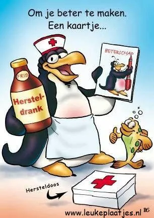 Een pinguïn in een verpleegsteroutfit met hersteldrank en een kaartje.