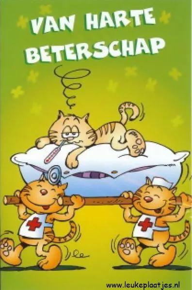 Twee katten in verpleegsterkleding tillen een kat op een kussen. Tekst: "Van Harte Beterschap".