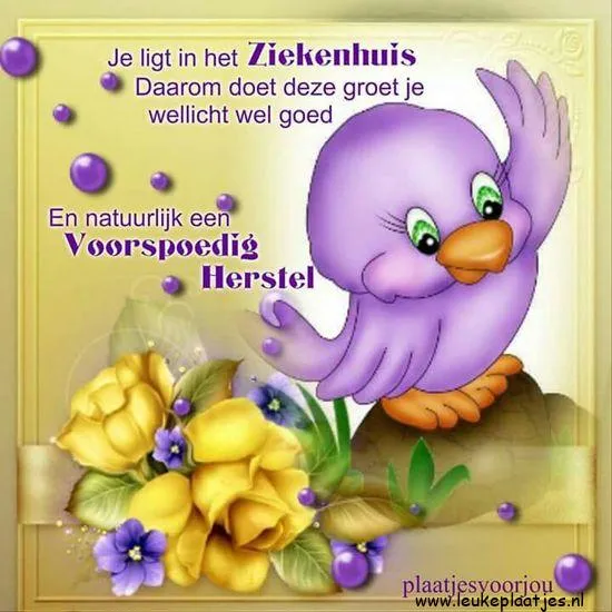 Een schattige paarse vogel verwelkomt je met beterschapswensen en bloemen.