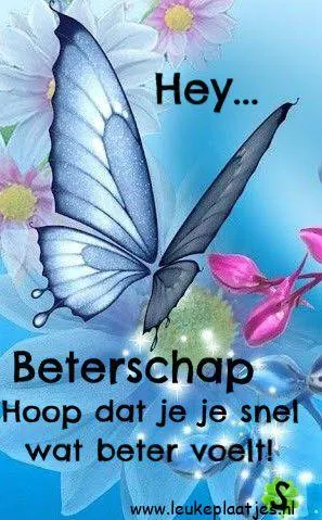 Blauwe vlinder met bloemen, boodschap voor beterschap en herstel.