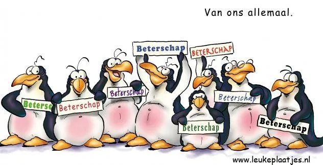 Groep pinguïns met borden die "Beterschap" tonen.