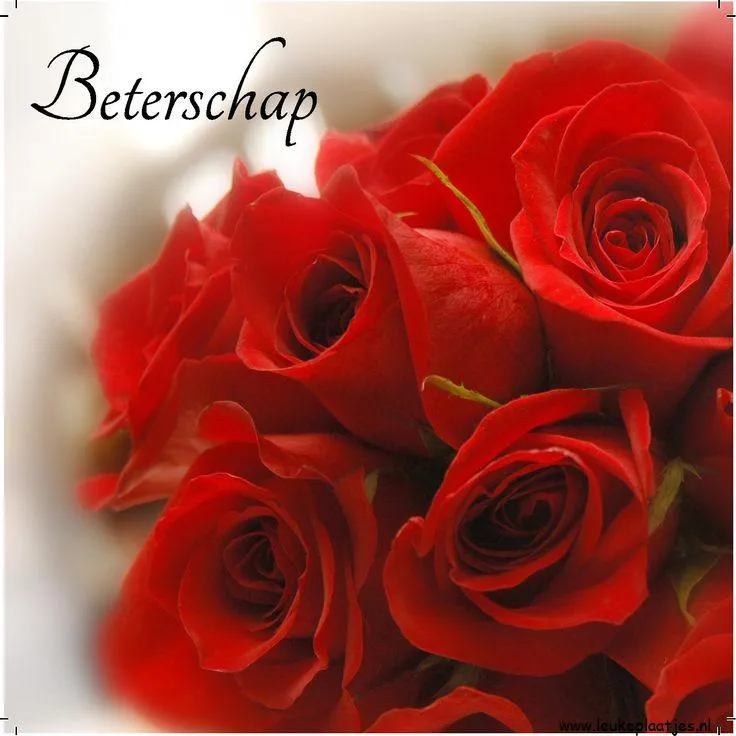 Boeket met rode rozen en de tekst "Beterschap" ernaast.