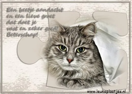 ᐅ beterschapswensen man - Beterschap plaatjes Kat die onder een deken ligt, met een vriendelijke boodschap.