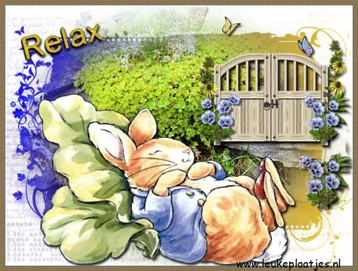 ᐅ beterschapswensen man - Beterschap plaatjes Een slapende konijn ligt op een blad, omringd door bloemen en een hek.