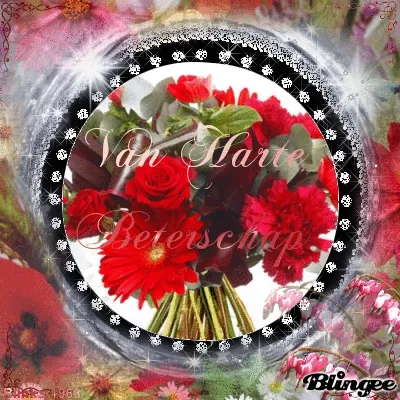 ᐅ beterschapswensen man - Beterschap plaatjes Een boeket met rode bloemen en de tekst "Van Harte Vriendschap".